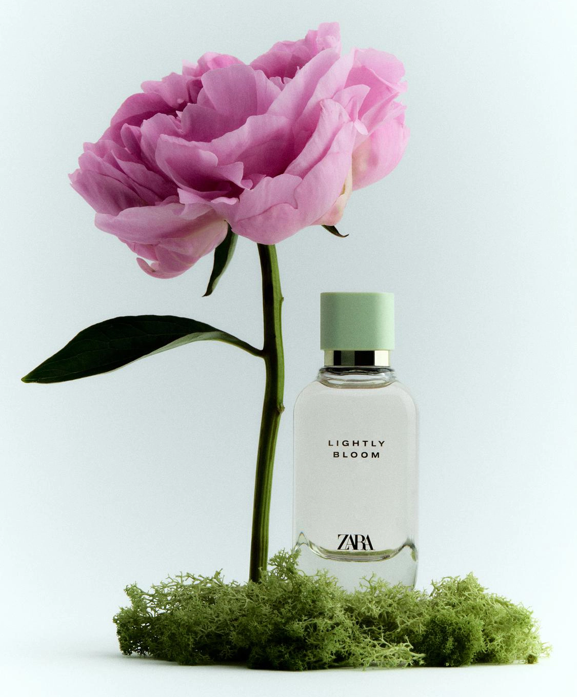 زارا لایتلی بلوم _ Zara Lightly Bloom