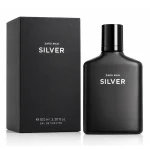 زارا من سیلور _ Zara Man Silver