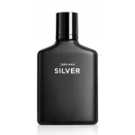 زارا من سیلور _ Zara Man Silver