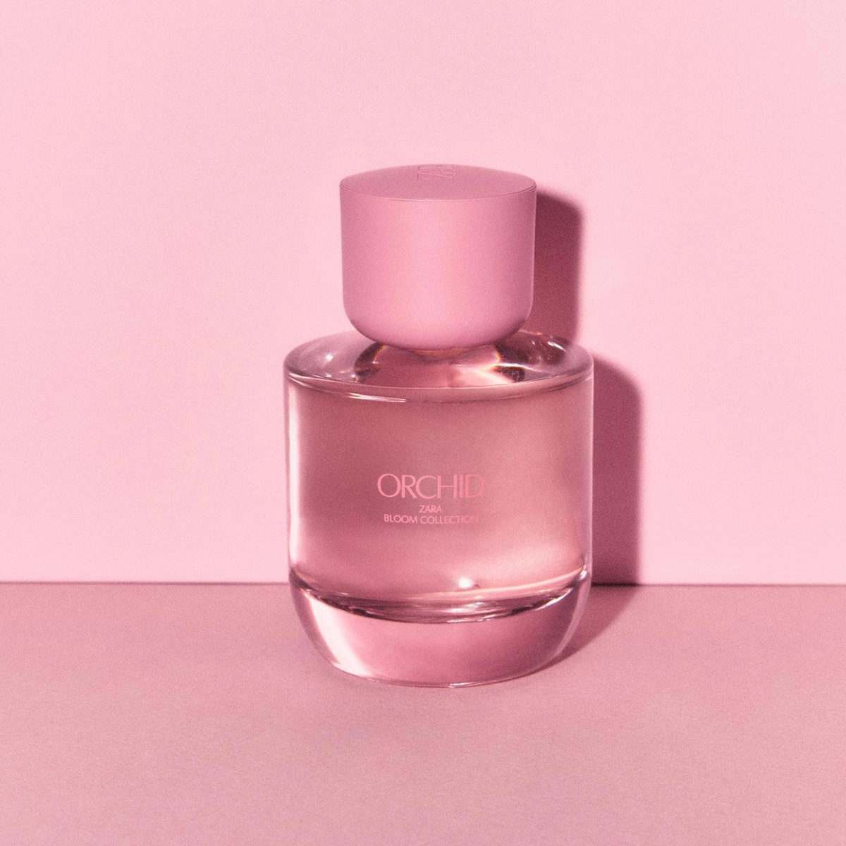 زارا ارکید _ Zara Orchid