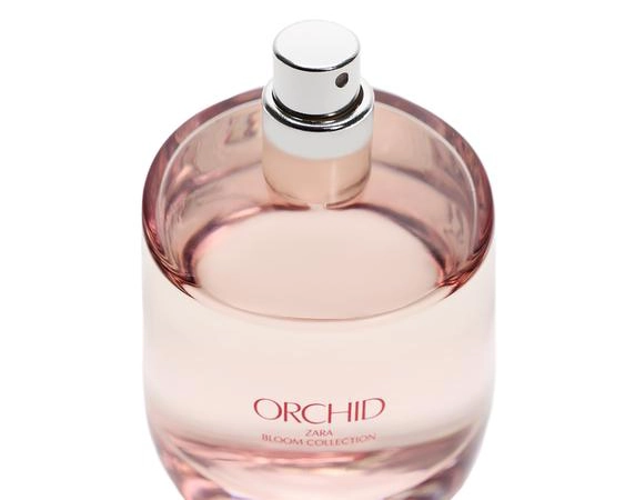 زارا ارکید _ Zara Orchid