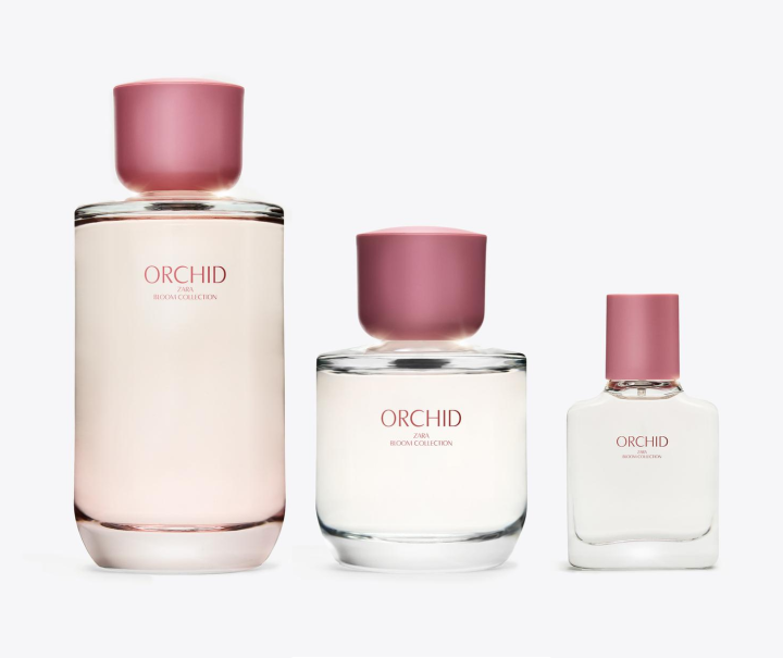 زارا ارکید _ Zara Orchid