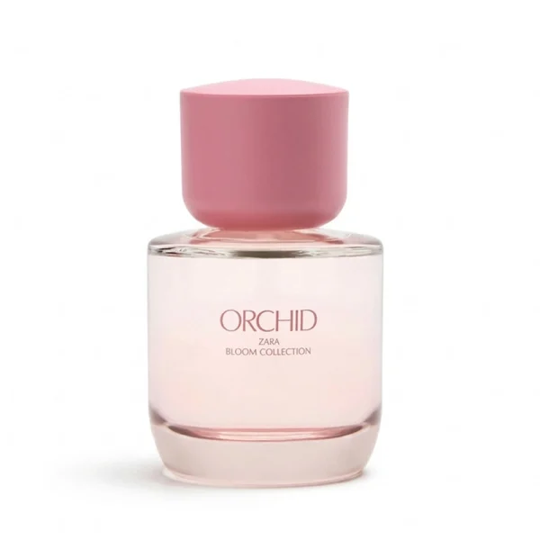 زارا ارکید _ Zara Orchid