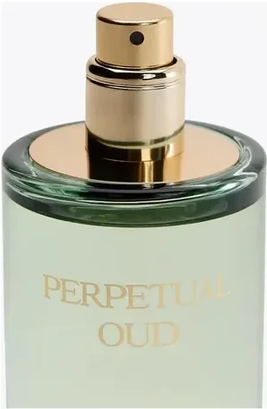 زارا پرپچوال عود _ Zara Perpetual Oud