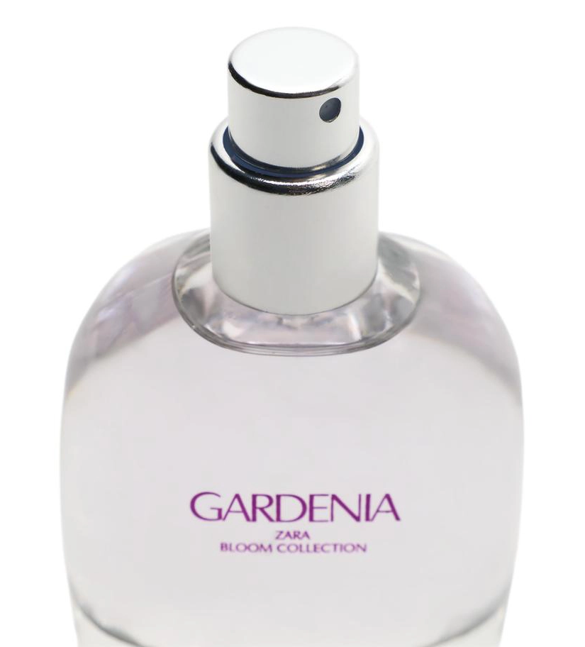 زارا گاردنیا _ Zara Gardenia