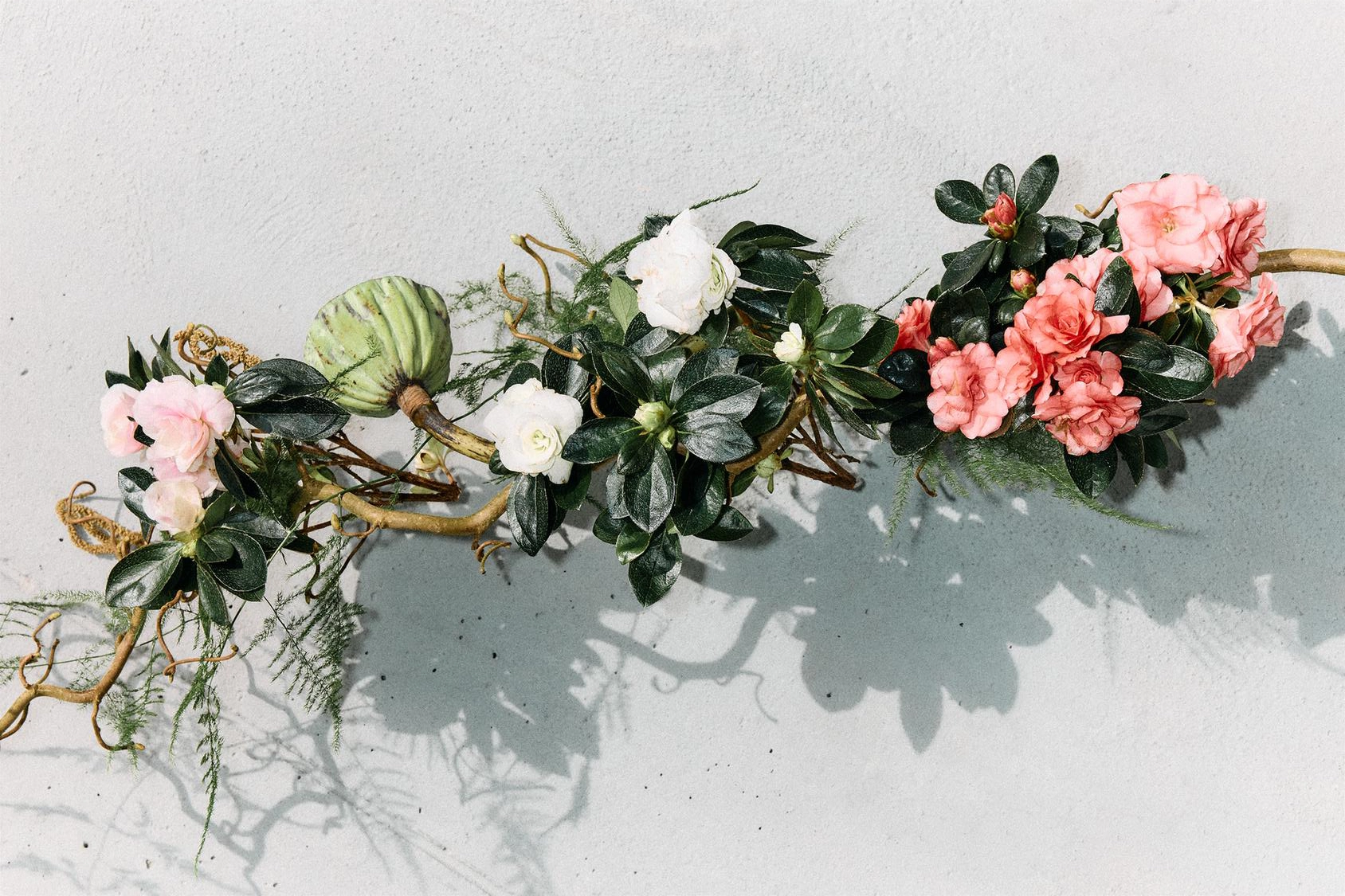 زارا گاردنیا _ Zara Gardenia